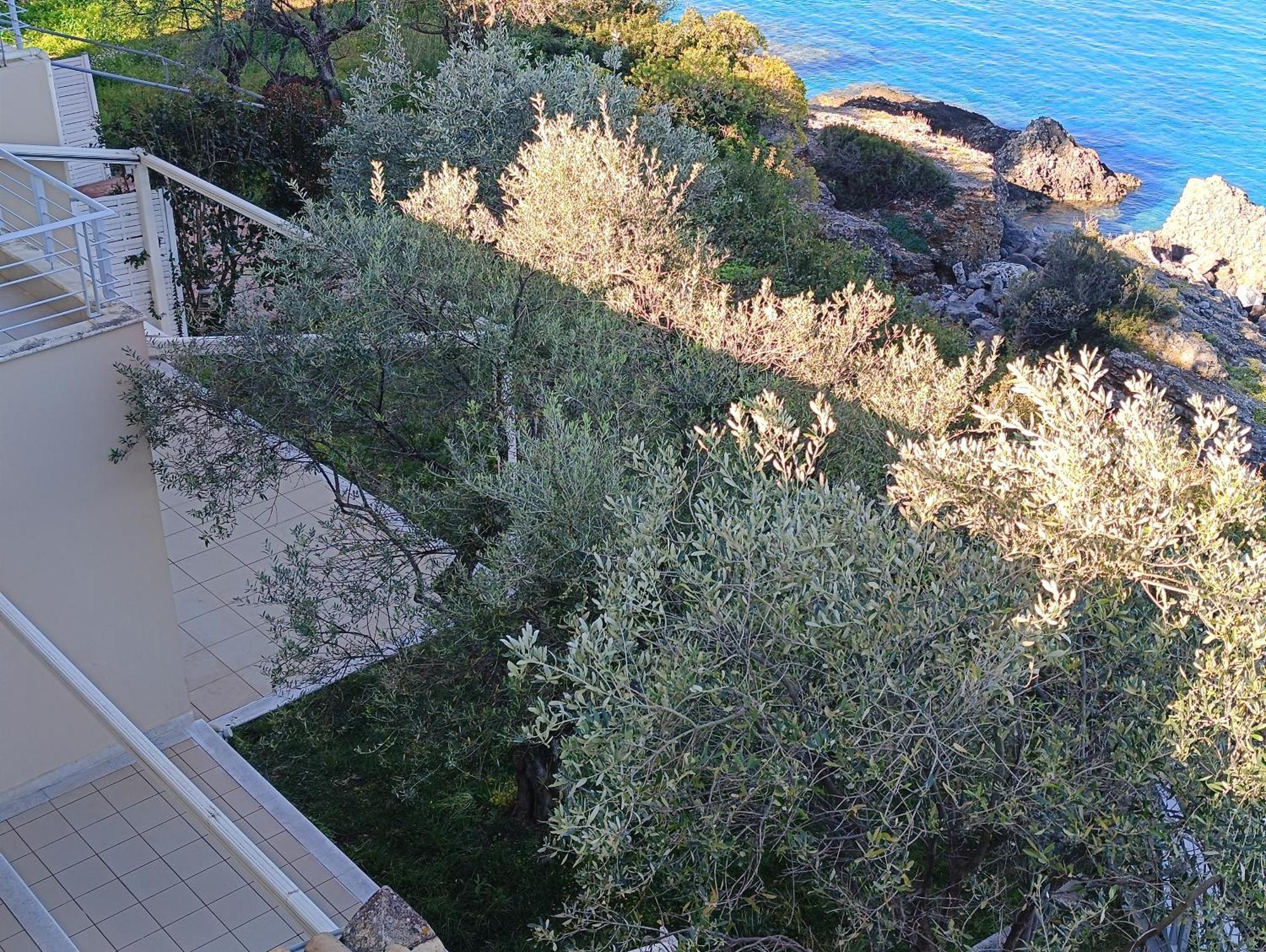 Palaiohora Avias Apartments 2 外观 照片